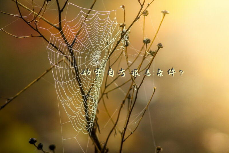 助学自考报名条件？