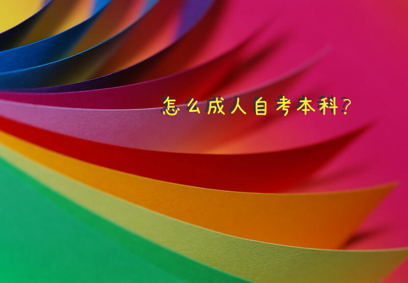 怎么自考本科？