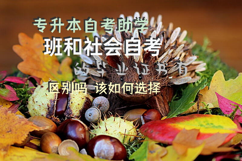 专升本自考助学班和社会自考的毕业证书有区别吗？该如何选择？