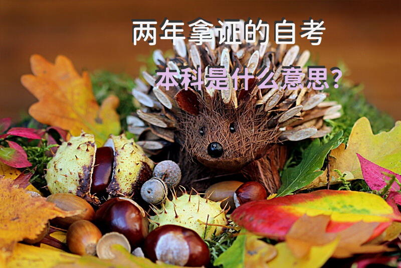 两年拿证的自考本科是什么意思？
