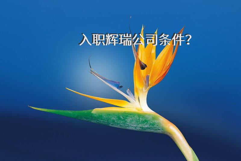 入职辉瑞公司条件？