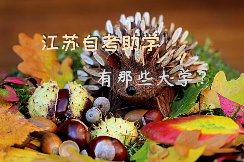 江苏自考助学有那些大学？