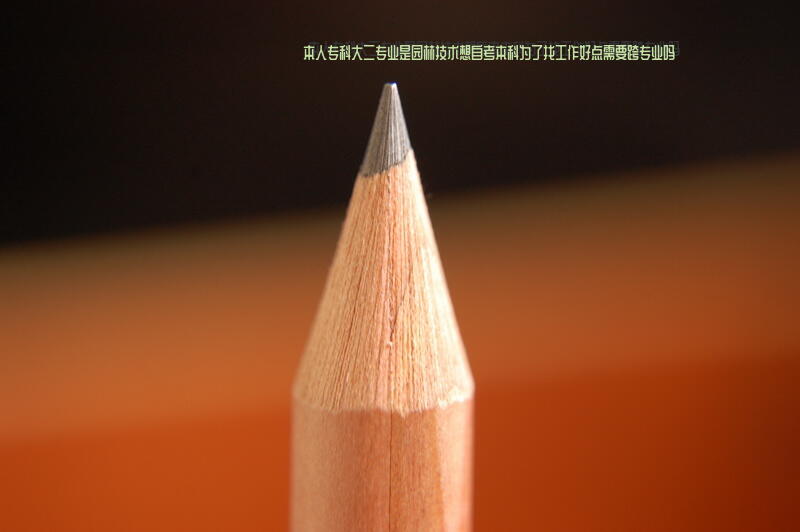 本人专科大二，专业是园林技术，想自考本科，为了找工作好点，需要跨专业吗？