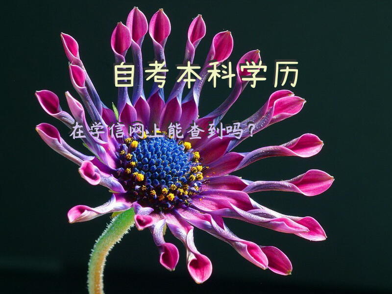 自考本科学历在学信网上能查到吗？