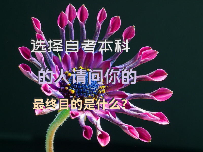 选择自考本科的人，请问你的最终目的是什么？