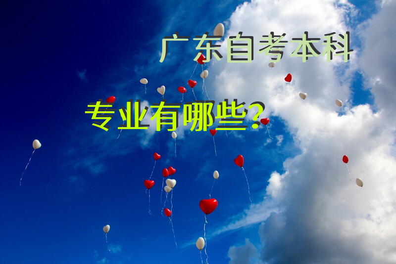 广东自考本科专业有哪些？