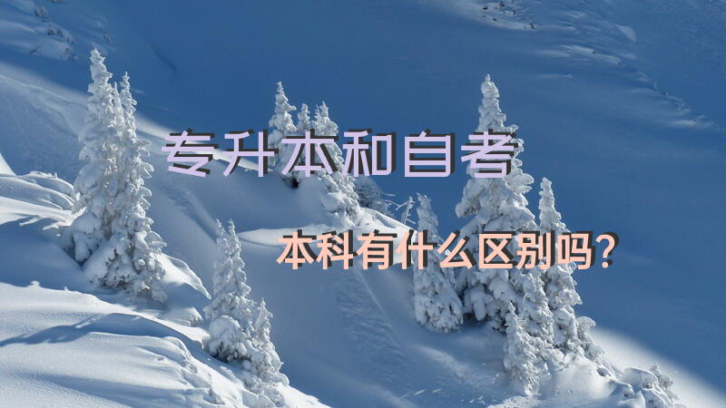 专升本和自考本科有什么区别吗？
