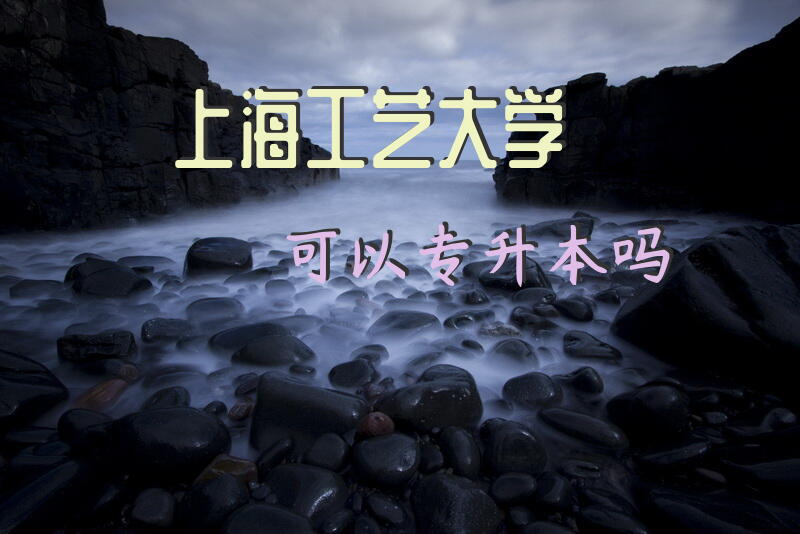 上海工艺大学可以专升本吗