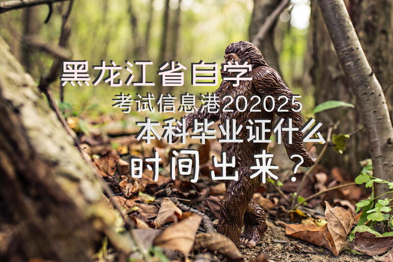 黑龙江省自学考试信息港202025本科毕业证什么时间出来？