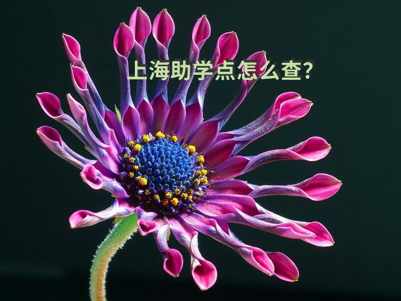 上海助学点怎么查？
