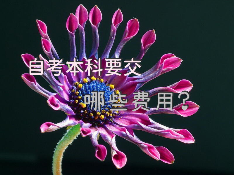 自考本科要交哪些费用？