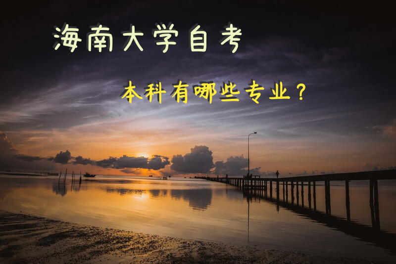 海南大学自考本科有哪些专业？