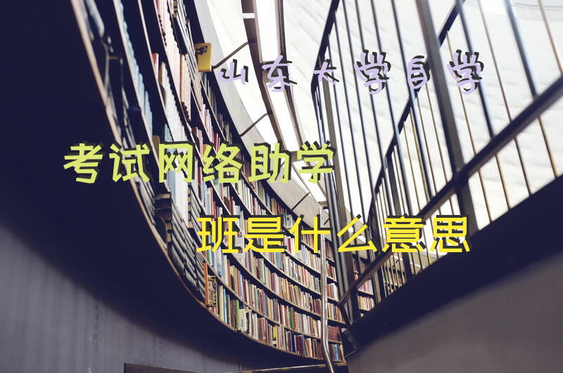 山东大学自学考试网络助学班是什么意思