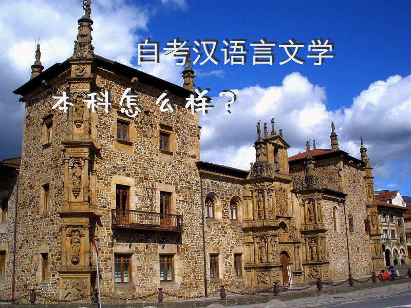 自考汉语言文学本科怎么样？
