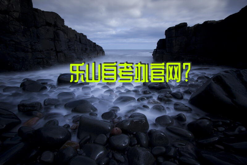 乐山自考办官网？
