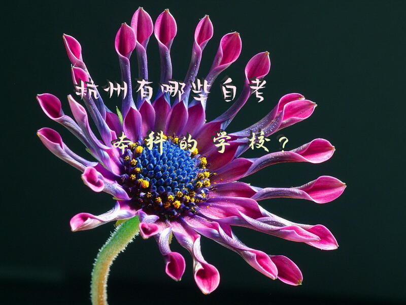 杭州有哪些自考本科的学校？